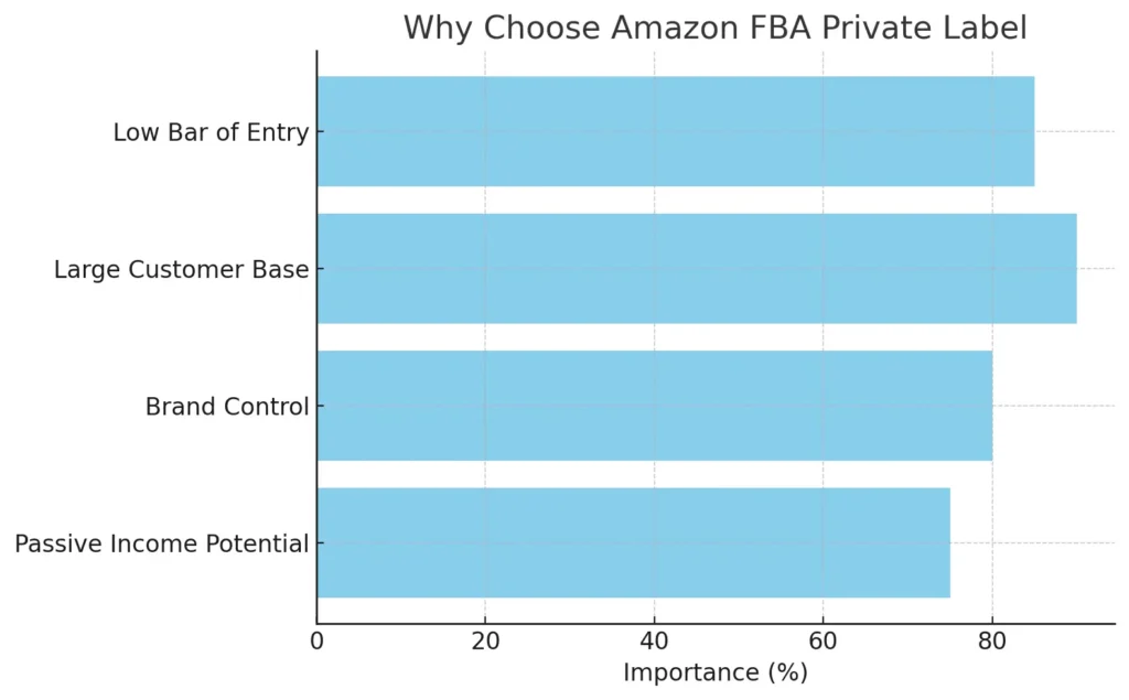 Amazon FBA private label: Profitable Startup Blueprint 2025 1 why to choose FBA private label