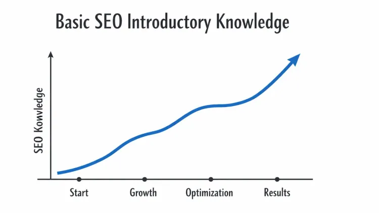 Basic SEO Introductory Knowledge