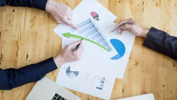 SEO Pro Advanced Traffic growth