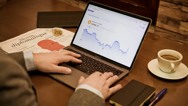 Types of SEO in the Modern Digital World (Extended Explanation)